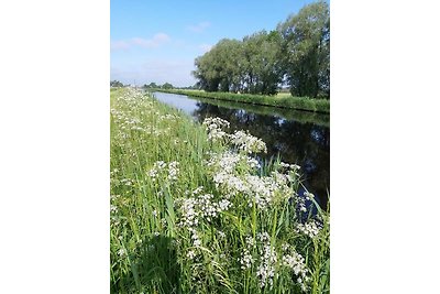 Ferienwohnung Zur Pusteblume