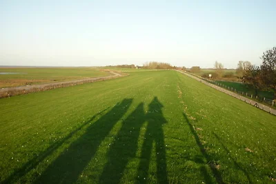 Ferienwohnung Küstenstube