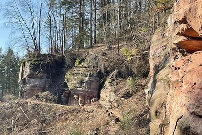 Ferienwohnung Milo Pfälzer Wald