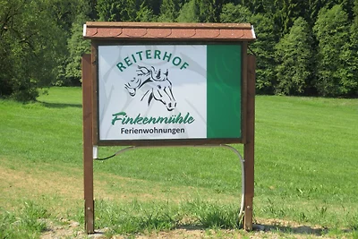 Reiterhof Finkenmühle Gipsy