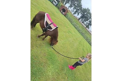 Ostfriesland-Hütte Nr. 8