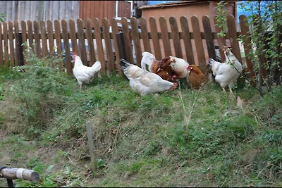 Apartament Dla rodzin Weißenstadt