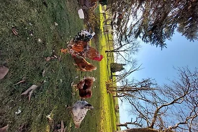 Vakantieappartement Gezinsvakantie Grimma