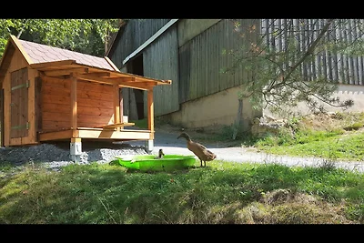 Reiterhof Finkenmühle Romano