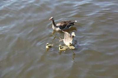 Appartamento Vacanza con famiglia Prerow