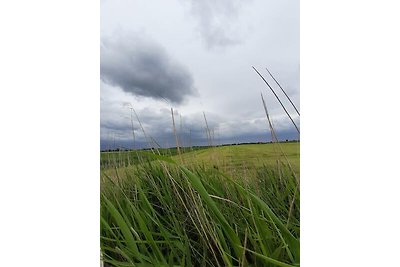 Ferienwohnung Zur Pusteblume