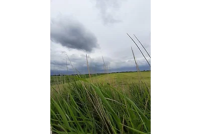 Ferienwohnung Zur Pusteblume