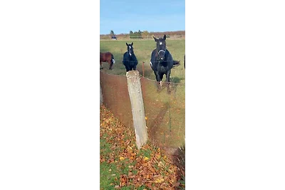 Appartamento Vacanza con famiglia Lohme