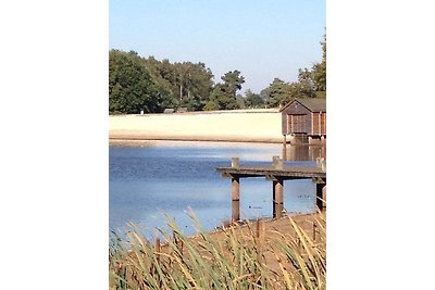 Modernes Ferienhaus Strandgut