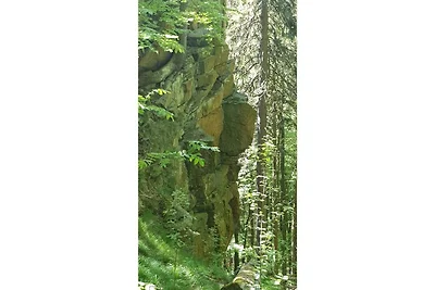 Fewo Yuva Bad Harzburg