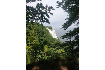 FeWo unter Reet am Wald Rügen