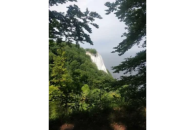 FeWo unter Reet am Wald Rügen