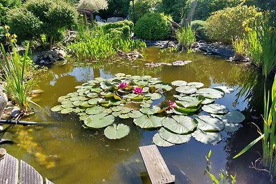 apartman za odmor Obiteljski odmor Holtriem