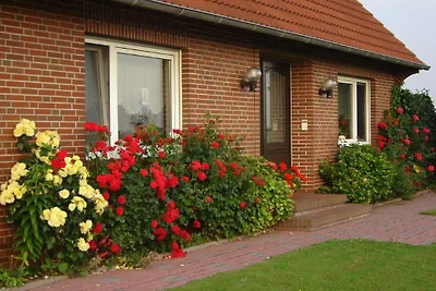 Appartamento Vacanza con famiglia Dornum