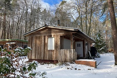 Vakantiehuis Ontspannende vakantie Lychen