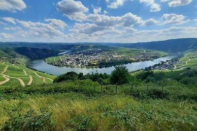 Appartamento Vacanza con famiglia Neumagen-Dhron