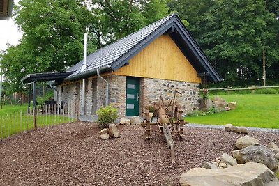 Modernes Ferienhaus Hohensayn