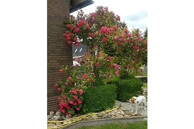 apartman za odmor Obiteljski odmor Aurich