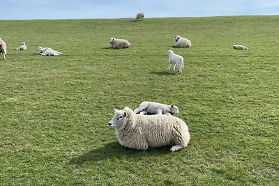 FeWo Flussland nähe SPO