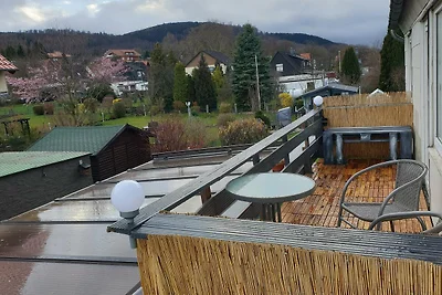 FeWo Harzfire mit Kamin