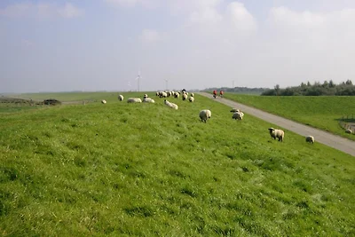 Ferienwohnung Schäfer