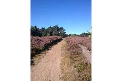 Domek letniskowy Urlop wypoczynkowy Garrel