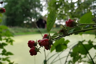 Appartement Vacances avec la famille Lachendorf