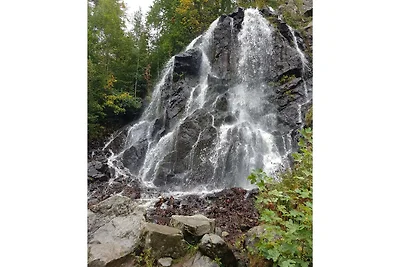 Apartament Dla rodzin Bad Harzburg