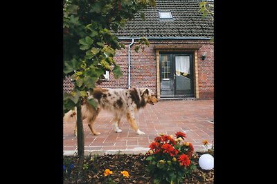 Ferienhaus am Moor