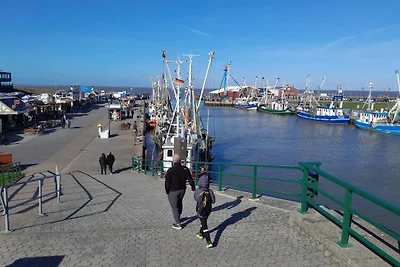 FeWo Nordseeküstenzauber
