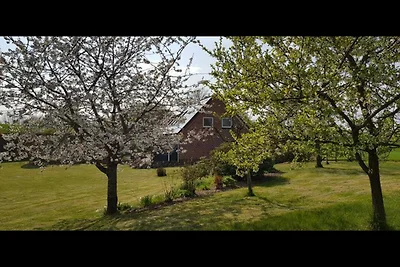 Ferienhaus Anneliese