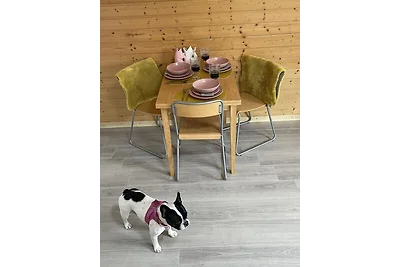 Vakantieappartement Gezinsvakantie Philippsburg