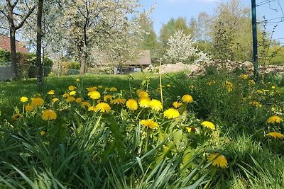 Vakantieappartement Gezinsvakantie Waldbröl