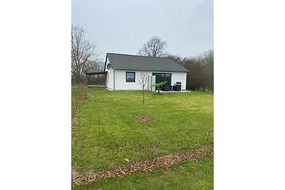 Vakantiehuis Ontspannende vakantie Dassow