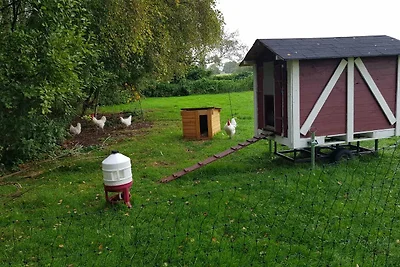 Vakantiehuis Ontspannende vakantie Berumbur