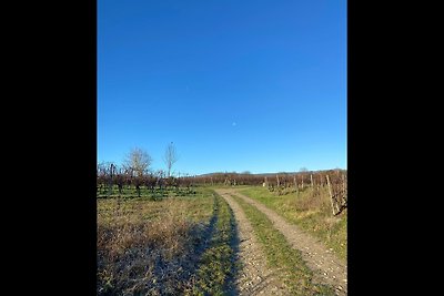 Ferienwohnung Rheingau