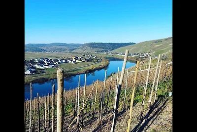 Vakantieappartement Gezinsvakantie Klüsserath