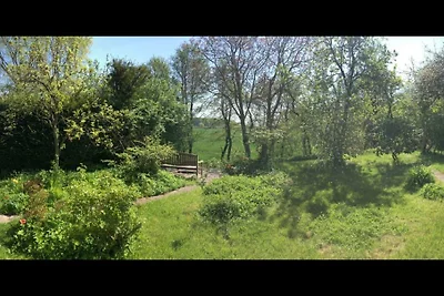 Ferienhaus mit Naturgarten