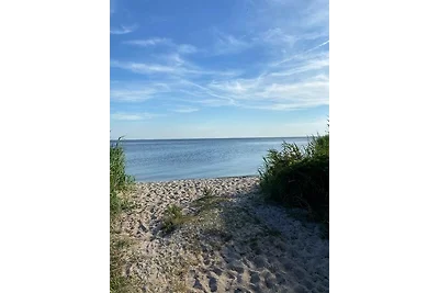 Ferienhaus Achterland Usedom