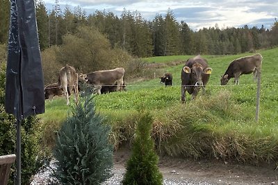 Vakantiehuis Ontspannende vakantie Dietmannsried