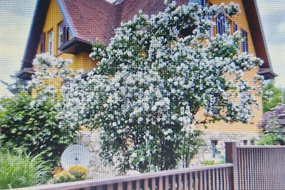 Vakantieappartement Gezinsvakantie Weimar