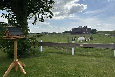 Vakantiehuis Ontspannende vakantie 