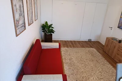 Appartement Vacances avec la famille Neureichenau