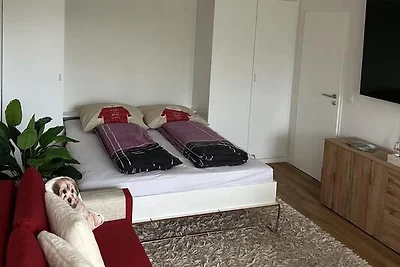 Appartement Vacances avec la famille Neureichenau