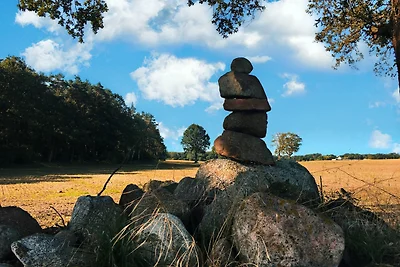 FeWo Schwalbennest Plauer See