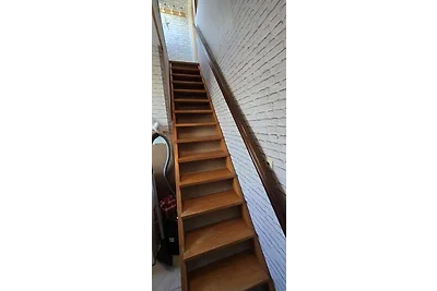 FeWo Deichblick