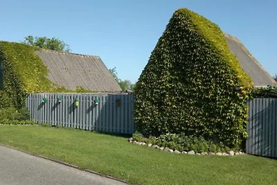 Appartamento Vacanza con famiglia Dornum