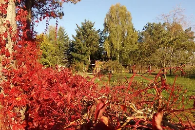 Ferienwohnung Ahlbeck