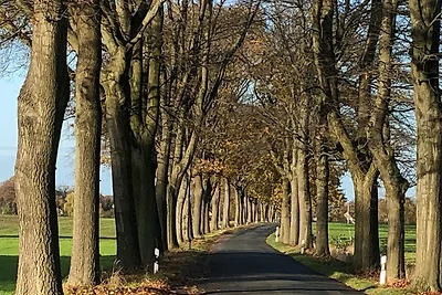 Ferienidyll Plauer See FeWo 3