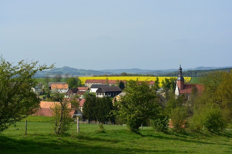 Blick auf Reinhardtsdorf